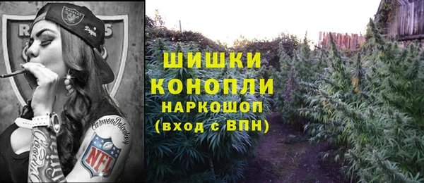 spice Бугульма