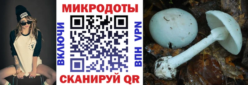 Псилоцибиновые грибы MAGIC MUSHROOMS  ссылка на мегу как войти  дарк нет состав  Карабаново 